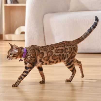 Pet Cat Toy Laser Collar Trento store