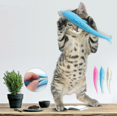 Cat Toothbrush Toy Trento store