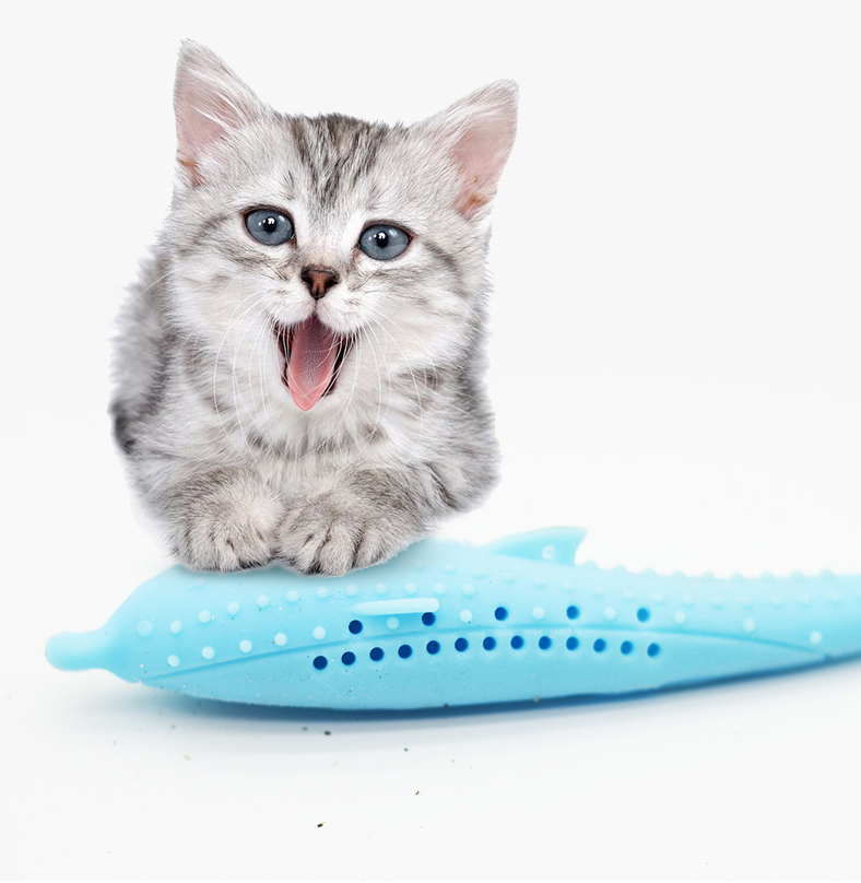 Cat Toothbrush Toy Trento store