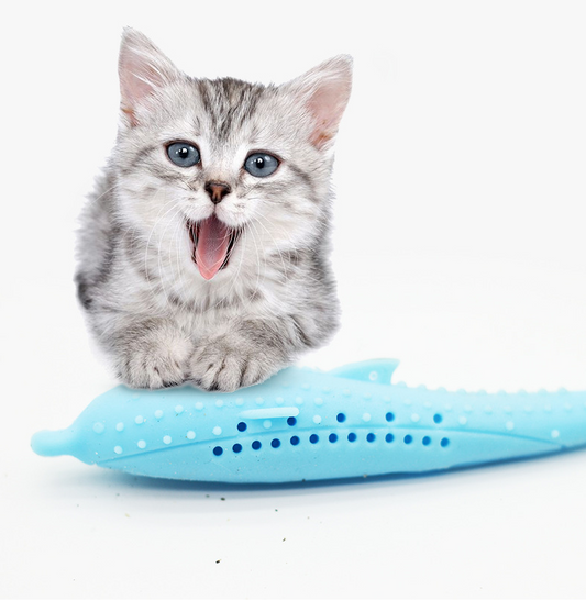 Cat Toothbrush Toy