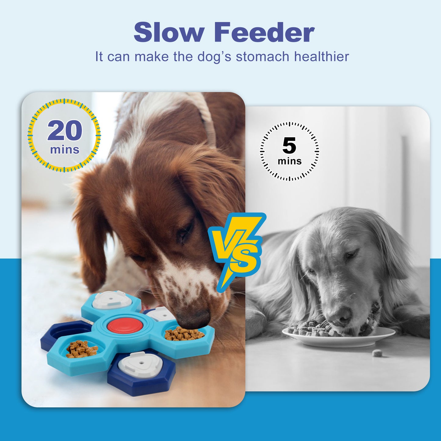 4 Layers Slow Feeder Puzzle Dog Bowls Assemble Slow Eating Bowl For Dogs Non-slip Interactive Dog Puzzle Game Slow Bowl Pet Products Trento store