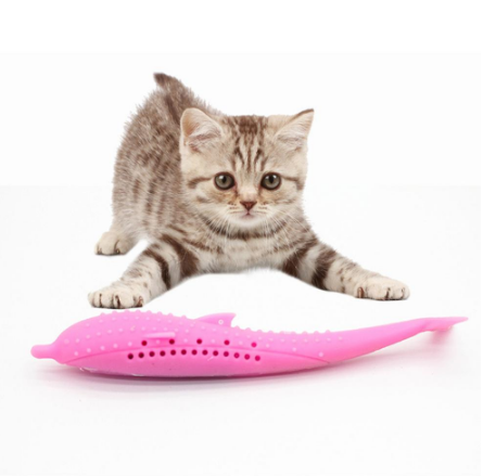 Cat Toothbrush Toy Trento store