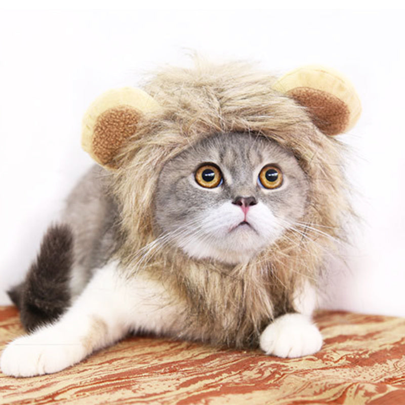 Funny Pet Hat For Small Dogs Cats Hat Emulation Lion Hair Mane Ears Head Cap Scarf Pet Halloween Festival Costume Trento store